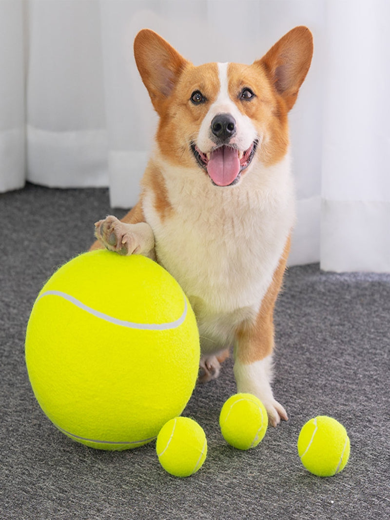 Tênis Ball - A gigante bola para cães